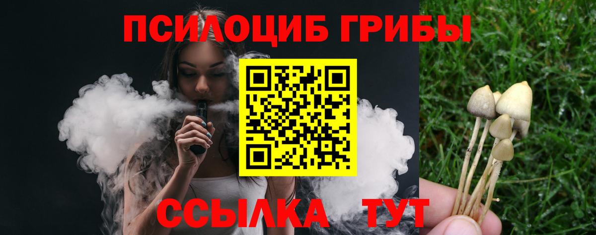 Псилоцибиновые грибы мухоморы  Вход с VPN  Псилоцибиновые грибы мицелий  Тамбов 