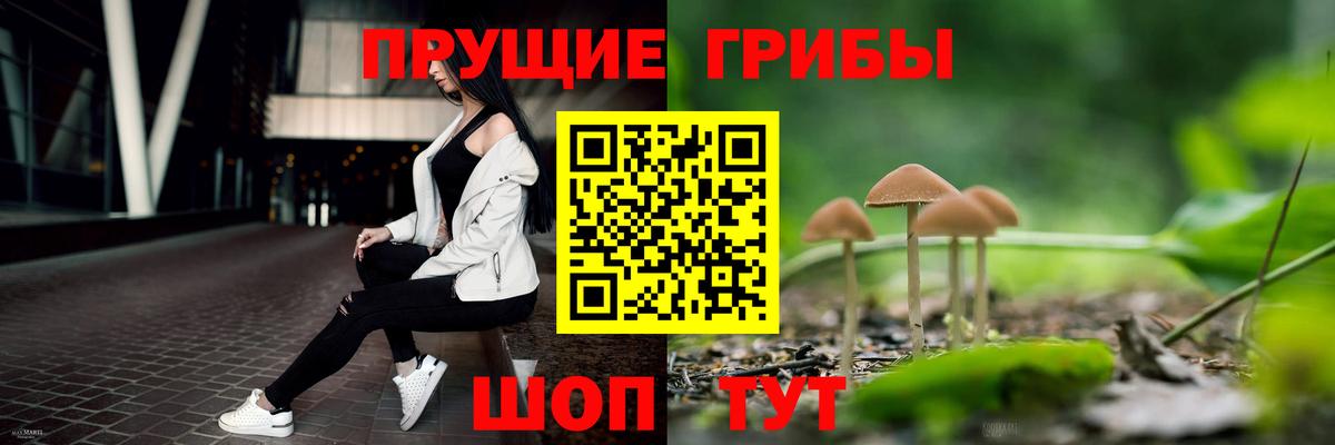 Псилоцибиновые грибы прущие грибы Тамбов